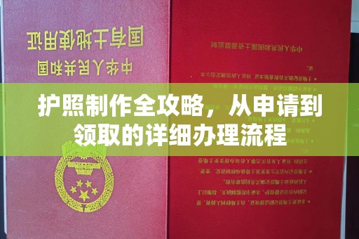 信丰护照制作全攻略，从申请到领取的详细办理流程