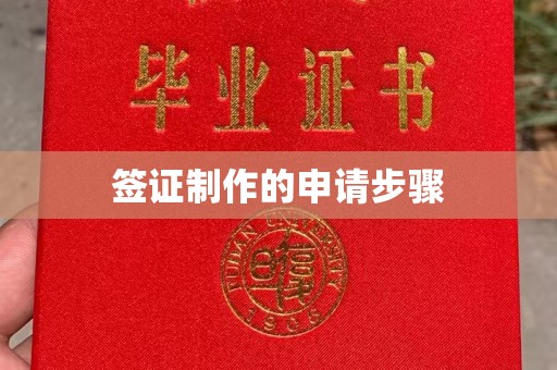 信丰签证制作的申请步骤