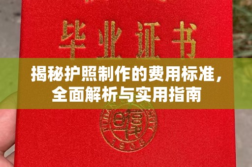 信丰揭秘护照制作的费用标准，全面解析与实用指南
