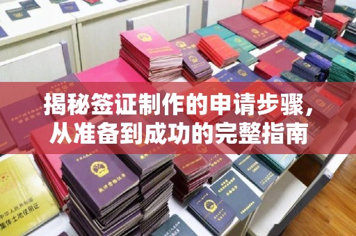 信丰揭秘签证制作的申请步骤，从准备到成功的完整指南